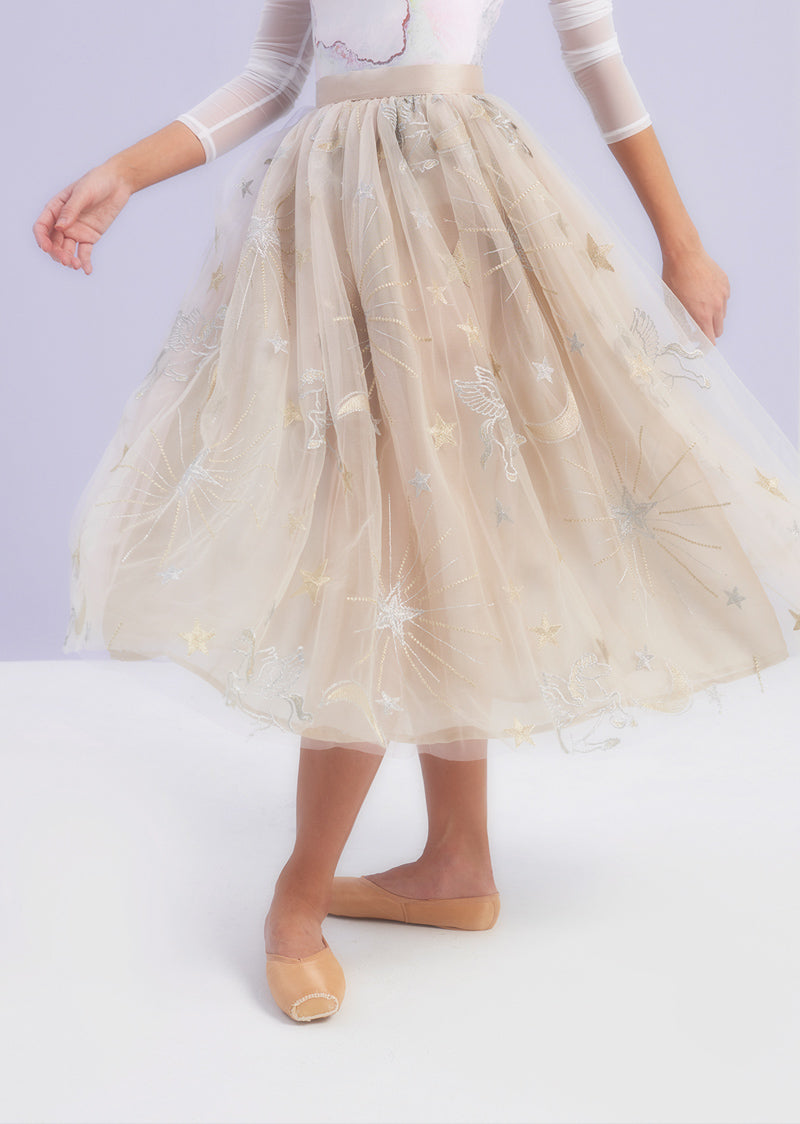 The Embroidered Tulle Skirt - Cosmos - Ethical dancewear and ballet clothing by Cloud and Victory